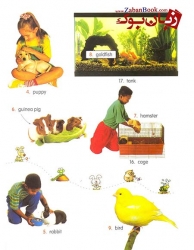 کتاب دیکشنری تصویری کودکان آبی Longman Childrens Picture Dictionary 