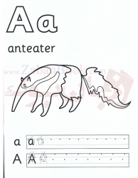کتاب آموزش الفبا زبان انگلیسی Alphabet Book  Super safari