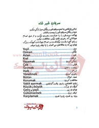 کتاب داستان کوتاه ترکی ترجمه بهار صالحی Kral Aslan Sercan By Nefise Atçakarlar