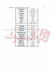کتاب  آمریکایی و بریتانیایی در 3 دقيقه    English in 3 Minutse 