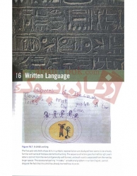 کتاب زبان شناسی انگلیسی The Study of Language 7th Edition