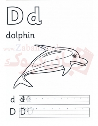 کتاب آموزش الفبا زبان انگلیسی Alphabet Book  Super safari
