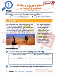  کتاب سطح دوم آکسفورد دیسکاور Oxford Discover 2 - 2nd - Writing and Spelling  