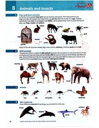 English Vocabulary in Use Pre-intermediate and Intermediate 4th واژگان کاربردی انگلیسی - کمبریج - پیش متوسط و متوسط - ویرایش چهارم